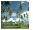 Aruba's Popular Attractions